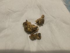 -北京观赏动物医院·24小时大型综合·猫专科·异宠专科