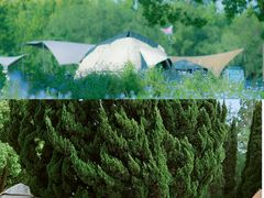 -上海滨江森林公园