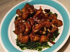 -滇铺子·云南特色菜·第九届野生菌美食节(曲靖万达店)