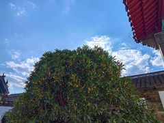 -牟氏庄园