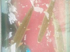 -新疆风味冷水鱼庄(友谊峰路店)