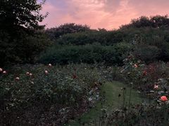 -郑州植物园