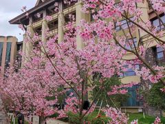 -韶关经律论国际酒店温泉