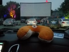 -枫花园汽车电影院(朝阳公园店)