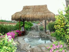 -金孔雀温泉旅游度假村