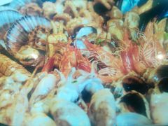 android_upload_pic-蓝港海鲜厨房(金水路店)