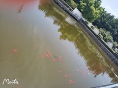 -石家庄市植物园