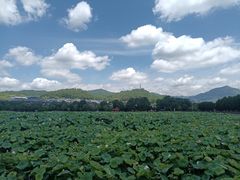 -古田会议纪念馆