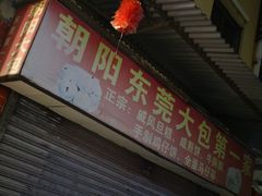 -朝阳东莞大包第一家
