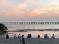 -宝安西湾红树林湿地公园