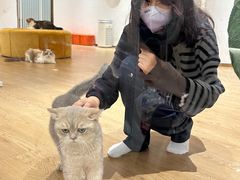 -1013 PET SHOP精品宠物商店(丁香店)