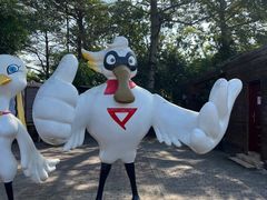 -大湾区中央湿地公园