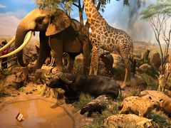 -陕西自然博物馆