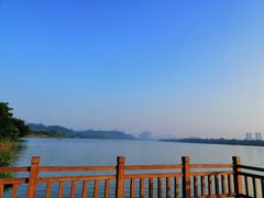 -鹤之洲湿地公园