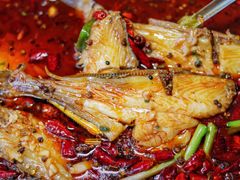 -张戈渝乡耗儿鱼美蛙火锅店(广福店)