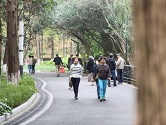 -苏州河梦清园环保主题公园