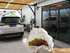 -美家乐农庄·露营·团建(大治路店)