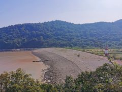 -花岙岛