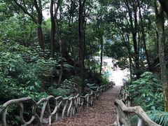 -田野绿世界