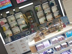 -瞳學會lens mart(南开大悦城店)