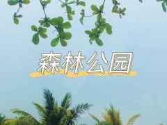 -亚龙湾热带天堂森林公园