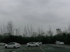 -狮麟驾校