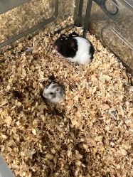 -可可天空农场(中大店)