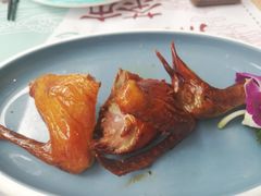 乳鸽-一笼小幸运