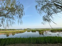 -野鸭湖国家湿地公园