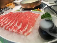 -洪氏嗨捞·广东猪肚鸡·椰子鸡火锅(西咸万象城店)