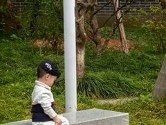 -南宁南湖公园