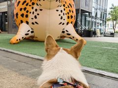 -观澜湖新城运动奥莱区