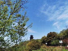 -杭州半山国家森林公园