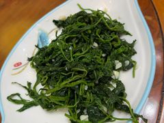 蒜泥桑芽菜-邹胖哥好好吃餐馆(荔波美食街店)