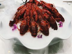 -淮扬府·游园京梦(中粮广场店)