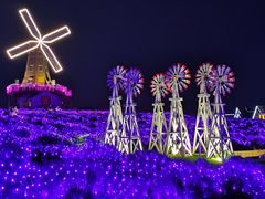 -大塘金香草谷