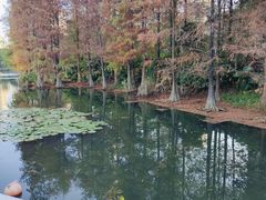 -荔枝公园(福田区)