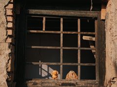 -盛世南宫影视城(北普陀影视城)