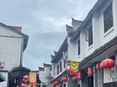 -后柳水乡