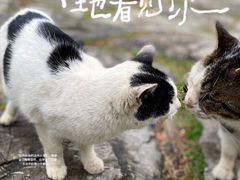 -静安公园(静安寺街道)