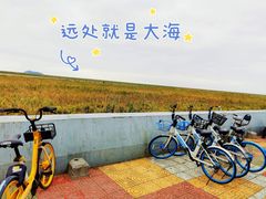 -金山嘴渔村