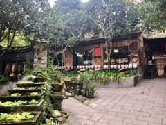 -青城甲(青城山店)