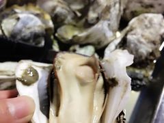 -邹记·美食(斗门店)