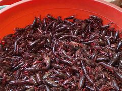 -青石桥市场北1-27号