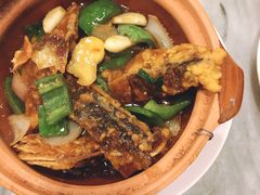 砂锅鱼头煲-紫金食坊(江南西路店)