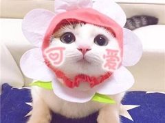 -老妈米线(港龙店)