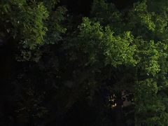 -大金鹰园