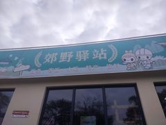 -上海长兴岛郊野公园