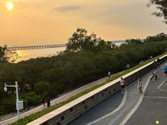 -宝安西湾红树林湿地公园