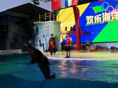 -三亚海昌梦幻海洋不夜城